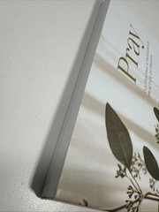 Pray | Cultivating a Passionate Practice of Prayer Workbook Turner Book PB