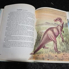 Dinosaurs and Other Prehistoric Animals by Darlene Geis (1979, Hardcover)