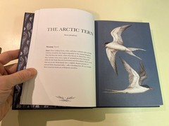 Ornithography Illustrated Guide to Bird Lore & Symbolism, Jessica Roux Hardcover