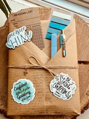 Blind Date With a Book Set – Choose Your Genre – Book Lover Set