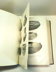 American Indian Ethnology Twentieth 20th Annual Report 1898 – 1899