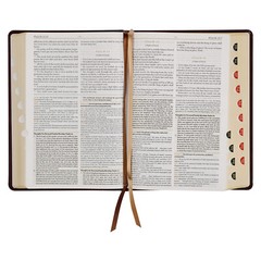 KJV Study Bible Large Print Thumb Indexed 2 Ribbons BRAND NEW in Shrink Wrap!!!