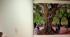 Travel in Snowing Maple Woods Fall Yicheng Egan Lin Oil Paintings 2003 Signed