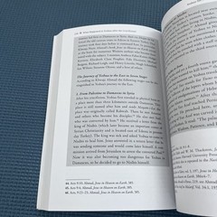 Magdalene’s Ascension : Mary’s Journey to Becoming Light by Annine van der Meer