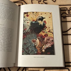 Book Edward Detmold Fables of Aesop Leather Fine Binding Vintage Ltd. Ed. Books