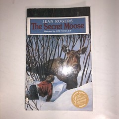 Childrens Chapter Books Lot of 4 Bundle Ages 6-10 Kids Reading Homeschool
