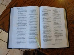 NASB Thinline Bible 1995 Text LARGE PRINT~ retail $54.99~ Black Leathersoft