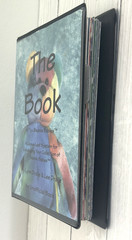 ’THE BOOK of Ty BEANIE BABIES’ by LYNN & LEE DRALLE to CATALOG COLLECTIONS