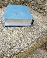 Vtg 1972 Leather 4.5″×6″ Nelson KJV Bible Words Of Christ In Red