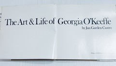 Georgia O Keeffe Art and Life Castro Book with 136 Color Illustrations Edition