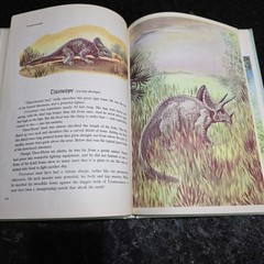 Dinosaurs and Other Prehistoric Animals by Darlene Geis (1979, Hardcover)