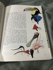 James Fisher and Roger Tory Peterson’s World of Birds