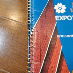 Osaka Expo 1970 Japan World Expo Materials Rare Pavilion Photos
