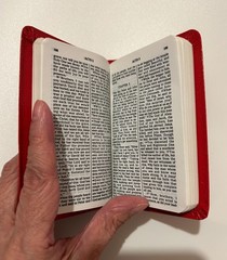 Brand New Gideons Vintage Pocket NIV Bible – New Testament Psalms Proverbs 1985