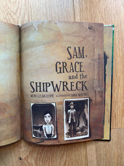 Sam Grace and the Shipwreck Michelle Gillespie Sonia Martinez 2011 HARDCOVER