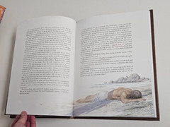 The Wanderings of Odysseus: THE STORY OF THE ODYSSEY Hardcover DUST JACKET 1996