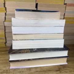 Lot 7 Kristin Hannah Books 2 Hardcover 5 Paperback Mystic Lake Fly Away Firefly
