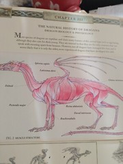 Ologies Ser.: Dragonology : The Complete Book of Dragons by Ernest Drake (2003,