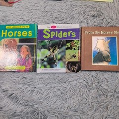 Bulk Lot of Mixed Books Various Authors & Genres Childhood Homeschool Learning