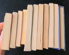 Lot of 10 My Side of the Mountain +1 by J C George Guided Reading Class Set Lot