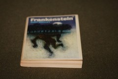 Frankenstein by Mary Shelley 1965 PB 13th Print Signet Classic