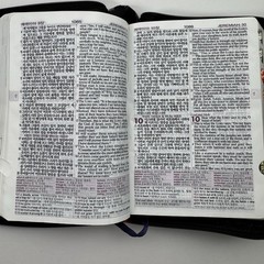 NIV NKRV Korean-English Study Bible Zippered Faux Leather Word of Life Press