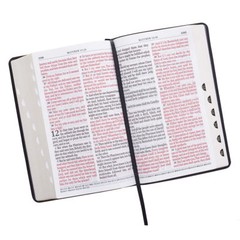 KJV HOLY BIBLE King James Version Black Large Print Thumb Index Edition* NEW