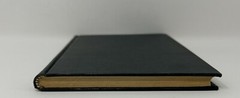 BIOGRAPHY: Brooks Takes the Long Look, Joseph Dawson – 1931 HC Baylor Univ Press