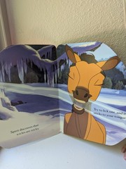 Spirit and Rain a giant shaped Board Book Kathleen Duey stallion of the cimarron
