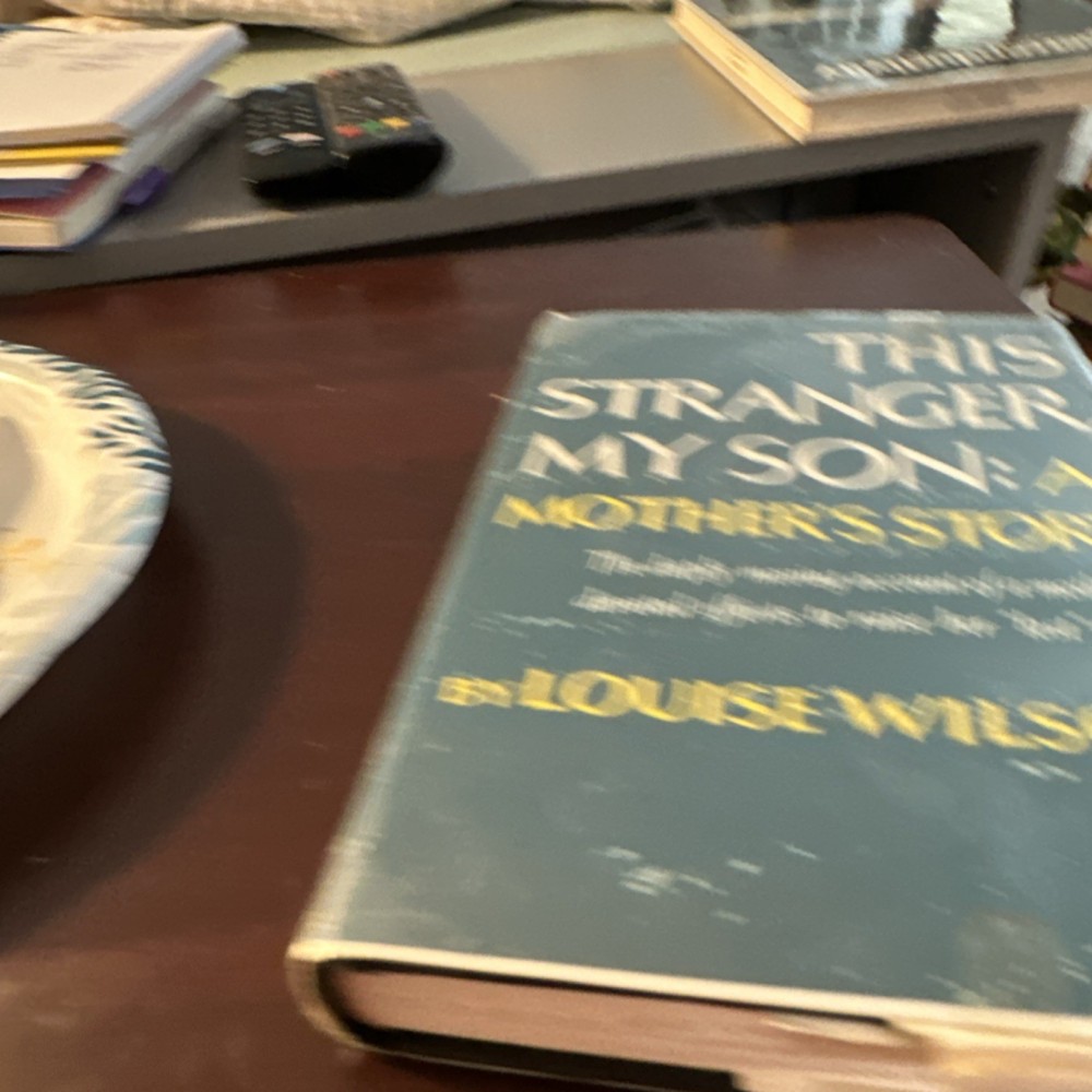 G. P. Putnam’s Sons Louise Wilson This Stranger, My Son Hardcover Motherhood