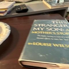 G. P. Putnam’s Sons Louise Wilson This Stranger, My Son Hardcover Motherhood
