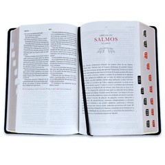 Biblia Peshitta Pastoral del Araemo de los antiguos manuscritos con indice