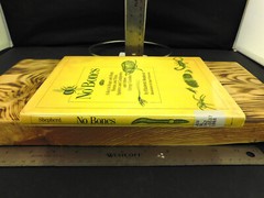 No Bones: A Key to Bugs and Slugs, Worms and Ticks, Spiders and Centipedes, Othr