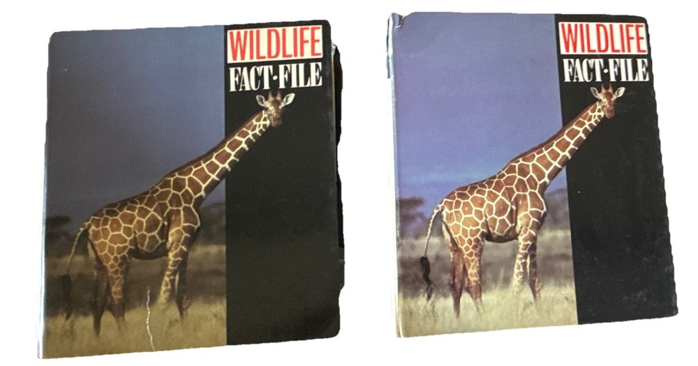 Wildlife Fact-File International Masters Publishers Illustrated Ring/Wire Bound