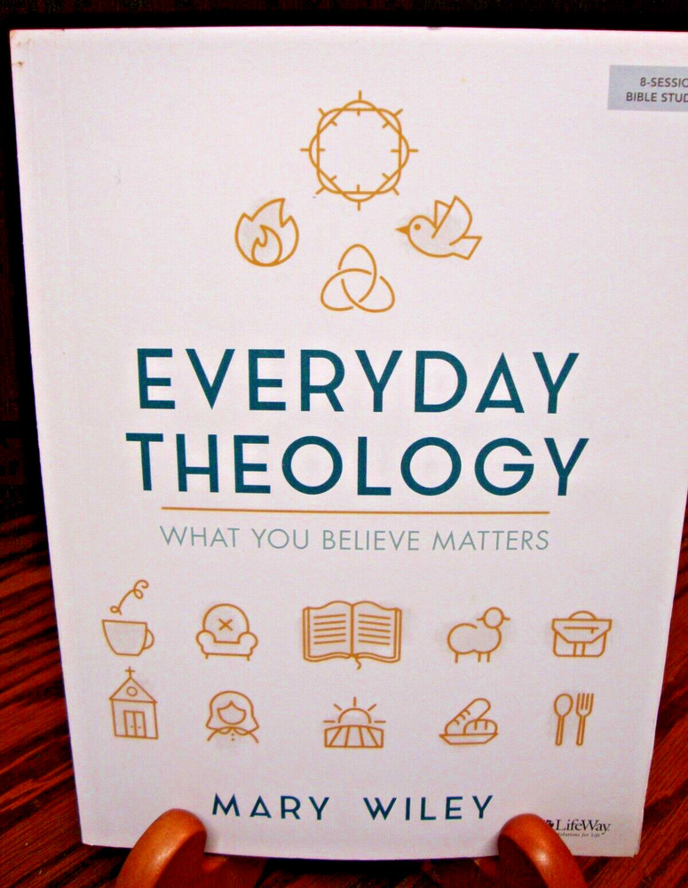 Everyday Theology~Bible Study Book: What You Believe Matters by Mary Wiley Z20