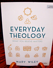 Everyday Theology~Bible Study Book: What You Believe Matters by Mary Wiley Z20