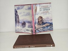 The Wanderings of Odysseus: THE STORY OF THE ODYSSEY Hardcover DUST JACKET 1996