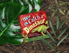 How to Catch a Dinosaur Hardcover