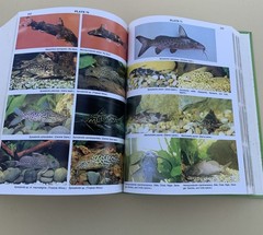 Atlas of Freshwater & Marine Catfishes. Warren Burgess. 1700 color photos. HC