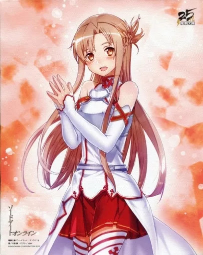 Sword Art Online Asuna Canvas Art Original Costume 8.7×6.9in Ltd Ed 2018