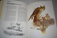 Character Sketches From The Pages of Scripture Vol 1 & 2 w/ Slipcases