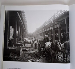 New York Rises: Photographs By Eugene de Salignac HC & DJ