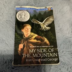 My Side of the Mountain by Jean Craighead George Puffin Reprint Illustrated PB