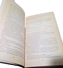 Norwegian and Icelandic Book Lot – Assorted Genres and Themes