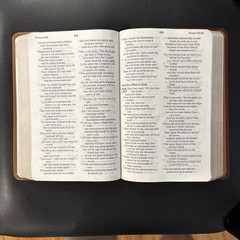 Bible NCV Giant Print Reference by Thomas Nelson: Bonded Leather—VERY GOOD