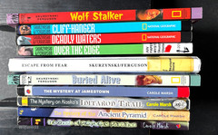 10 Lot Historic Mystery Books In Our National Parks & Carole Marsh Mysteries