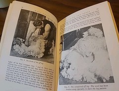 Wool Away : The Art and Technique of Shearing by Godfrey Bowen (Hardcover) RARE