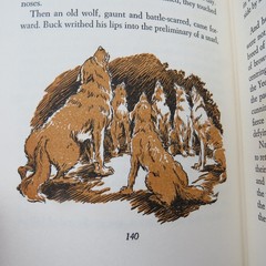 The Call Of The Wild ~ Jack London~ HC~ MacMillan Company 1963- Illustrated Todd