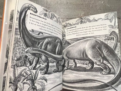 Dinosaurs by Herbert S. Zim Illus. by James Gordon Irving c.1976 Library Edition