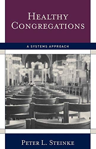 HEALTHY CONGREGATIONS: A SYSTEMS APPROACH By Peter L. Steinke **BRAND NEW**